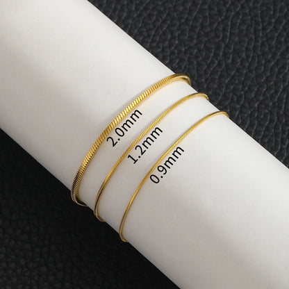 The Spine Chain