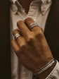 The Bastion Ring